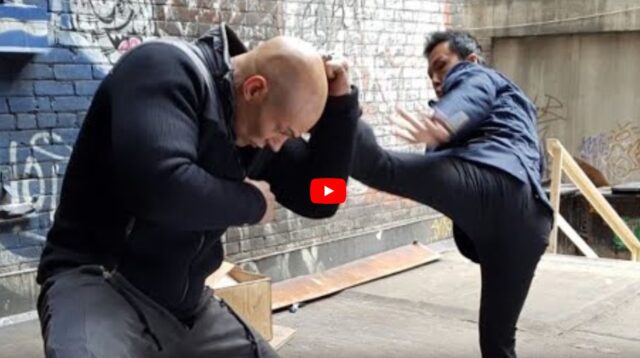 Donnie Yen Vs Vin Diesel – x.X.x Return Of Xender Cage Ip man Fight Scene