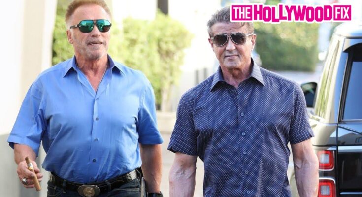 Sylvester Stallone & Arnold Schwarzenegger Speak On Creed 3 While Leaving Lunch In Beverly Hills