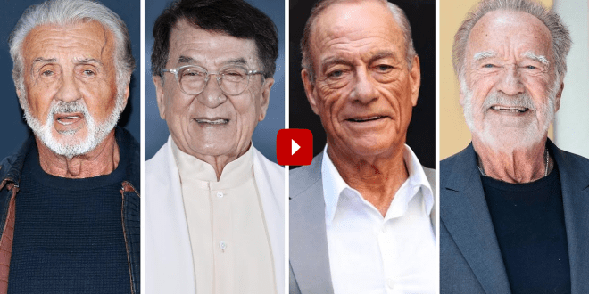 50 Action Stars then and now ★ 2021 Stallone, Chan, Van Damme, Schwarzenegger…(video)