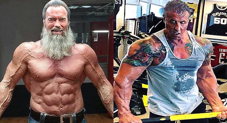 Arnold Schwarzenegger VS Sylvester Stallone Transformation