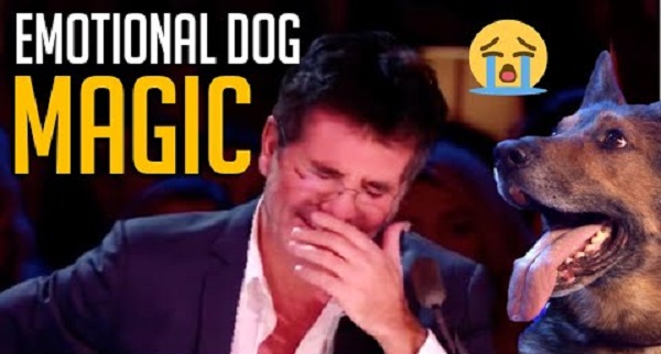 Emotional Magic Dog Acts That Made Simon Cowell Cry