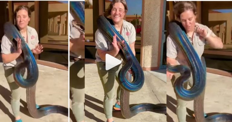 Woman exhibits huge rainbow snake, video goes viral: Watch