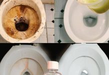 Goodbye to toilet stains, how to remove them quickly and naturally