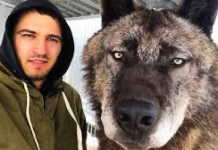 Man Rescues Mysterious Forest Creature—A Year Later, He’s Stunned by What It Becomes