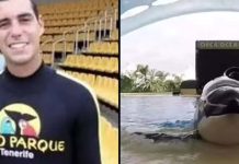 Footage shows SeaWorld trainer’s tragic death after brutal orca attack Footage shows SeaWorld trainer’s tragic death after brutal orca attack - featured image
