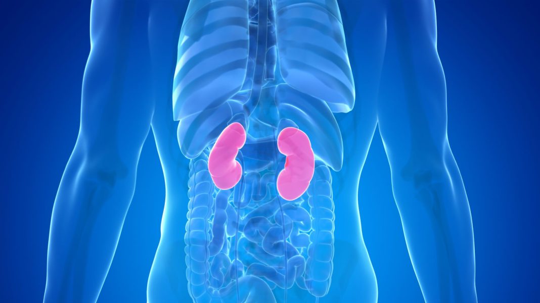 10 Warning Signs Your Kidneys May Be in Danger - featured image