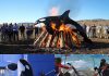From “Ocean Killer” to Blazing Pyre: The Shocking Photo That Unveils a Dark Secret From “Ocean Killer” to Blazing Pyre: The Shocking Photo That Unveils a Dark Secret - featured image