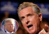 Gavin Newsom Roasts Donald Trump After Bizarre “Bela” Post Gavin Newsom Roasts Donald Trump After Bizarre “Bela” Post - featured image