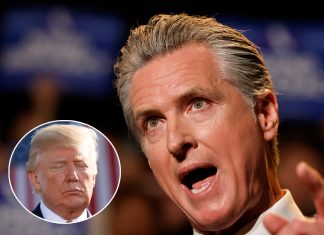 Gavin Newsom Roasts Donald Trump After Bizarre “Bela” Post Gavin Newsom Roasts Donald Trump After Bizarre “Bela” Post - featured image