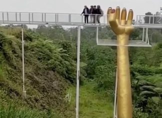 A Terrifying Moment on the Bridge: Tourists Caught in a Sudden Collapse A Terrifying Moment on the Bridge: Tourists Caught in a Sudden Collapse - featured image