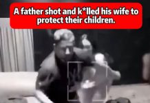 When Protection Becomes Devastation: A Family Torn Apart When Protection Becomes Devastation: A Family Torn Apart - featured image