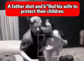 When Protection Becomes Devastation: A Family Torn Apart When Protection Becomes Devastation: A Family Torn Apart - featured image