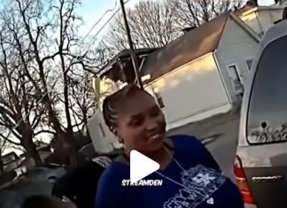 Public Outrage Erupts After Officer Allegedly Conducts Invasive Search on Woman During Traffic Stop Public Outrage Erupts After Officer Allegedly Conducts Invasive Search on Woman During Traffic Stop - featured image