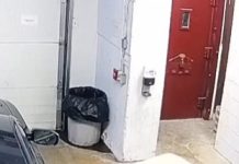 Suspect Grabs Deputy’s Gun During Transport — What Happened Next Could’ve Been Fatal Suspect Grabs Deputy’s Gun During Transport — What Happened Next Could’ve Been Fatal - featured image