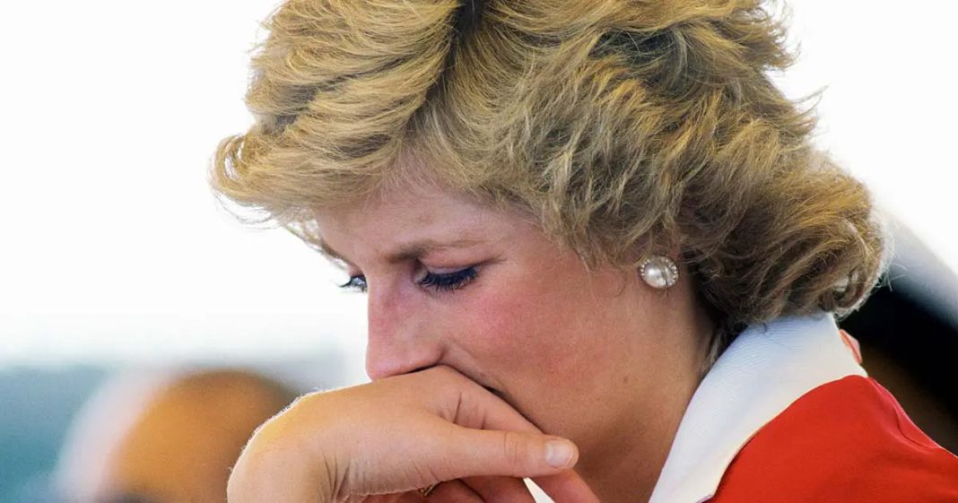 Why Diana spent her last Christmas alone with reheated meal - featured image