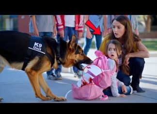 The Remarkable Role Informed America - featured image