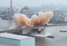 A Scene That Resonates: The Power of a Viral Video buzzus.store - featured image