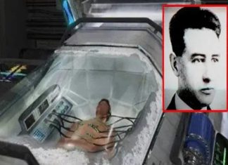 Cryonic preservation: 50 years later Cryonic preservation: 50 years later - featured image