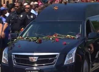 Farewell to a Legend: Remembering a Star Who Touched Millions Farewell to a Legend: Remembering a Star Who Touched Millions - featured image