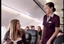 An Unexpected Lesson in Courtesy at 30,000 Feet An Unexpected Lesson in Courtesy at 30,000 Feet - featured image