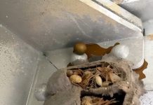 A Journey Through Forgotten Spaces News Of The Day! - featured image