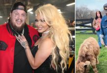 Jelly Roll is turning his Tennessee farm into a sanctuary for addicts and broken souls, built on the same land where he once hid from his past. Jelly Roll is turning his Tennessee farm into a sanctuary for addicts and broken souls, built on the same land where he once hid from his past. - featured image