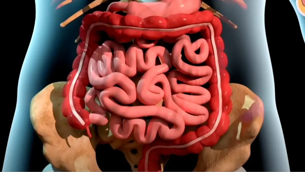 Striking simulation illustrates the progression of death from cancer - featured image