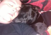 Geo the dog sensed something was wrong and saved a life Geo the dog sensed something was wrong and saved a life - featured image