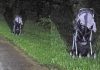 Woman issues terrifying warning after finding a stroller abandoned on the side of the road Woman issues terrifying warning after finding a stroller abandoned on the side of the road - featured image