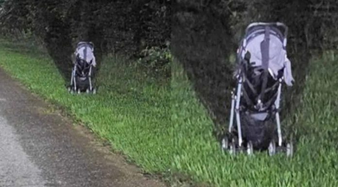 Woman issues terrifying warning after finding a stroller abandoned on the side of the road Woman issues terrifying warning after finding a stroller abandoned on the side of the road - featured image