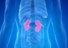 10 Warning Signs Your Kidneys May Be in Danger 10 Warning Signs Your Kidneys May Be in Danger - featured image