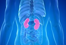 10 Warning Signs Your Kidneys May Be in Danger 10 Warning Signs Your Kidneys May Be in Danger - featured image