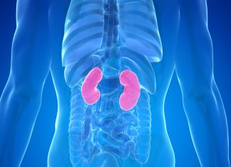 10 Warning Signs Your Kidneys May Be in Danger 10 Warning Signs Your Kidneys May Be in Danger - featured image