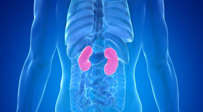 10 Warning Signs Your Kidneys May Be in Danger 10 Warning Signs Your Kidneys May Be in Danger - featured image