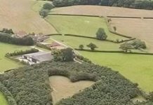 At 85, Nancy Sinatra Still Shines — Here’s How She’s Doing Today At 85, Nancy Sinatra Still Shines — Here’s How She’s Doing Today - featured image