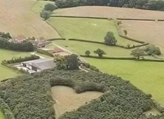 At 85, Nancy Sinatra Still Shines — Here’s How She’s Doing Today At 85, Nancy Sinatra Still Shines — Here’s How She’s Doing Today - featured image