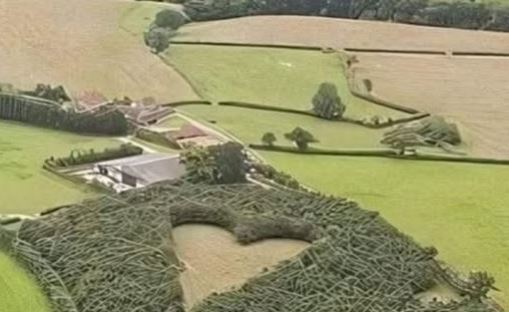 At 85, Nancy Sinatra Still Shines — Here’s How She’s Doing Today At 85, Nancy Sinatra Still Shines — Here’s How She’s Doing Today - featured image