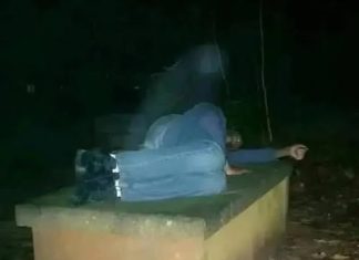 This man slept on his mother’s grave every day, never leaving her side. People couldn’t believe it. This man slept on his mother’s grave every day, never leaving her side. People couldn’t believe it. - featured image