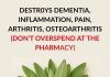 Destroys Dementia, Inflammation, Pain, Arthritis, Osteoarthritis Destroys Dementia, Inflammation, Pain, Arthritis, Osteoarthritis - featured image
