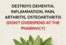 Destroys Dementia, Inflammation, Pain, Arthritis, Osteoarthritis Destroys Dementia, Inflammation, Pain, Arthritis, Osteoarthritis - featured image