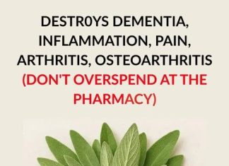 Destroys Dementia, Inflammation, Pain, Arthritis, Osteoarthritis Destroys Dementia, Inflammation, Pain, Arthritis, Osteoarthritis - featured image