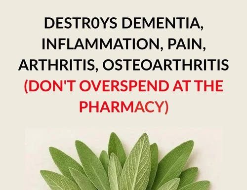 Destroys Dementia, Inflammation, Pain, Arthritis, Osteoarthritis Destroys Dementia, Inflammation, Pain, Arthritis, Osteoarthritis - featured image