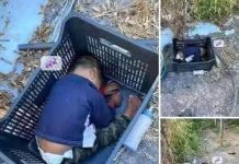 Toddler Found Under Unusual Circumstances— Who Is He? Toddler Found Under Unusual Circumstances— Who Is He? - featured image