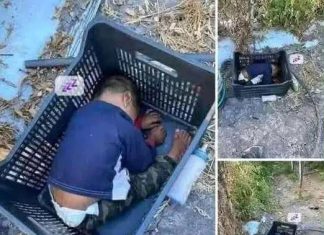 Toddler Found Under Unusual Circumstances— Who Is He? Toddler Found Under Unusual Circumstances— Who Is He? - featured image