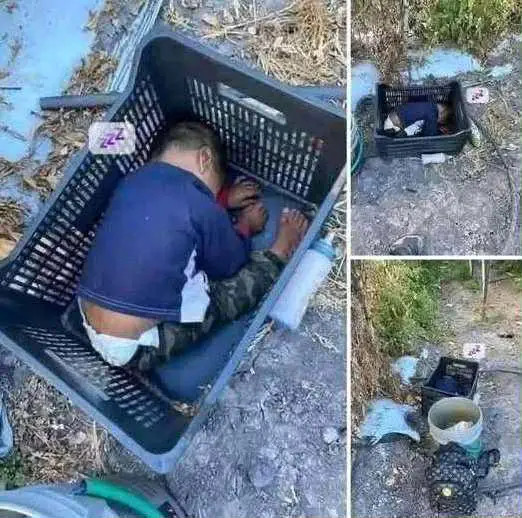 Toddler Found Under Unusual Circumstances— Who Is He? - featured image Toddler Found Under Unusual Circumstances— Who Is He? - featured image