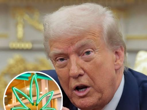 Federal Drug Policy Discussions Signal Potential Shift in Cannabis Classification Federal Drug Policy Discussions Signal Potential Shift in Cannabis Classification - featured image