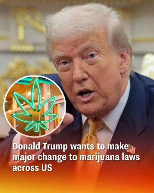 Federal Drug Policy Discussions Signal Potential Shift in Cannabis Classification - featured image Federal Drug Policy Discussions Signal Potential Shift in Cannabis Classification - featured image