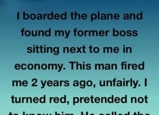 I Was Fired by My Boss — Two Years Later, He Changed My Life on a Flight I Was Fired by My Boss — Two Years Later, He Changed My Life on a Flight - featured image