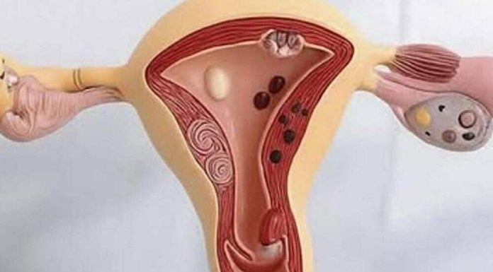 Why going without s*x can be dangerous Why going without s*x can be dangerous - featured image