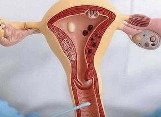 Why going without s*x can be dangerous Why going without s*x can be dangerous - featured image